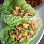 Teriyaki Chicken Lettuce Wraps
