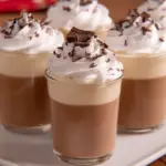 Baileys Jell-O Shots