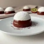 Coconut Dome with Chocolate
