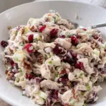 Healthy Cranberry Chicken Salad